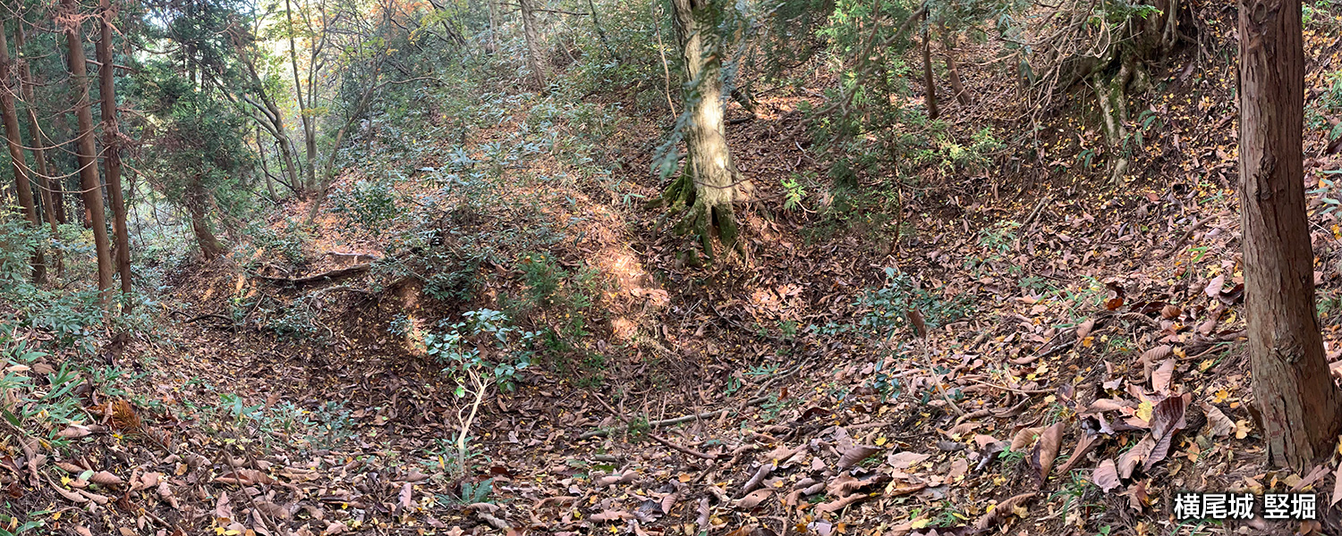 横尾城の竪堀（富山県朝日町）