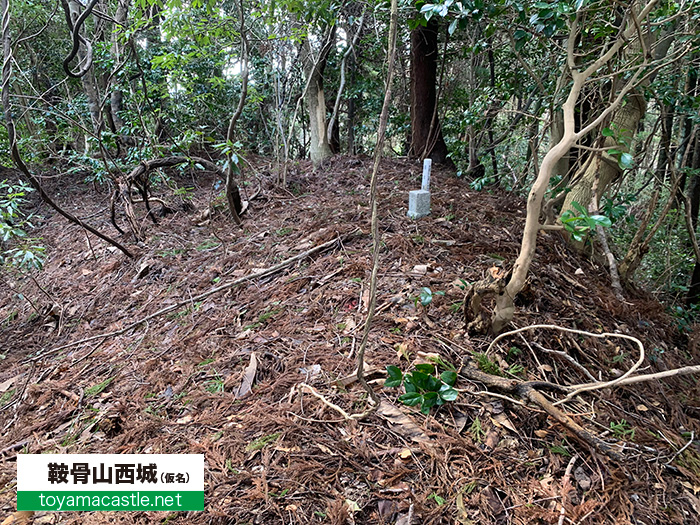 鞍骨山西城の主郭