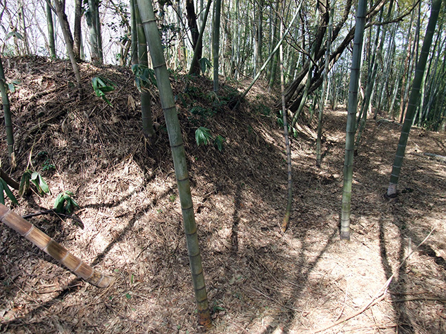 海老瀬城 土塁跡