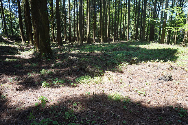 広い削平地