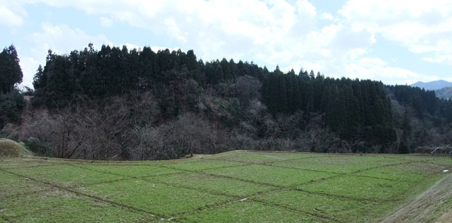 城生城遠景