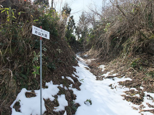 片山大道