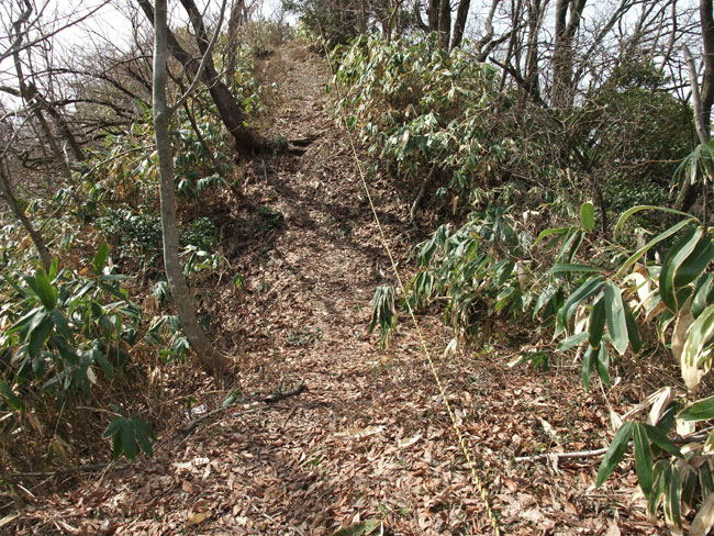 元取山山頂