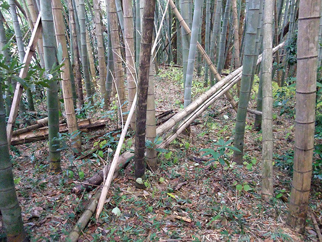 摩頂山城 郭跡