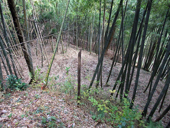 摩頂山城 腰郭