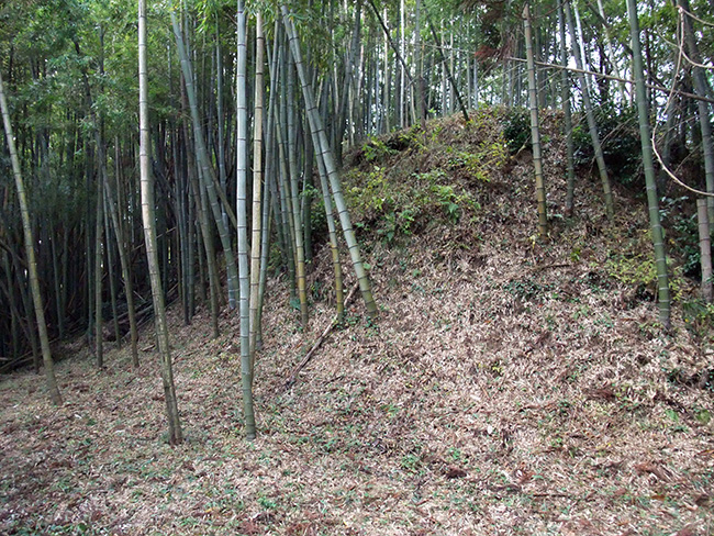 摩頂山城 切岸