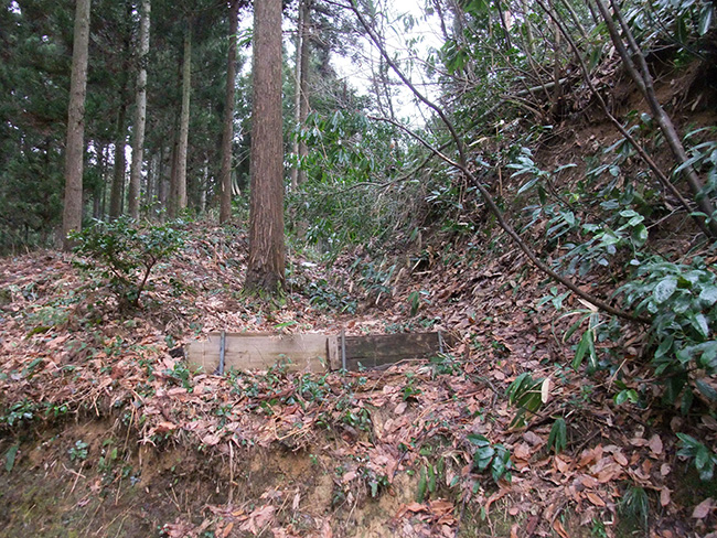 池ノ平等屋敷 横堀