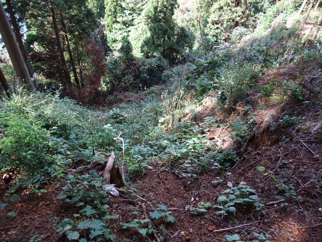 増山城 F郭へ