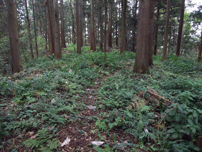 増山城 無常