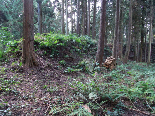 増山城 畝上竪堀群