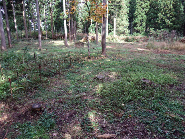 増山城 三ノ丸