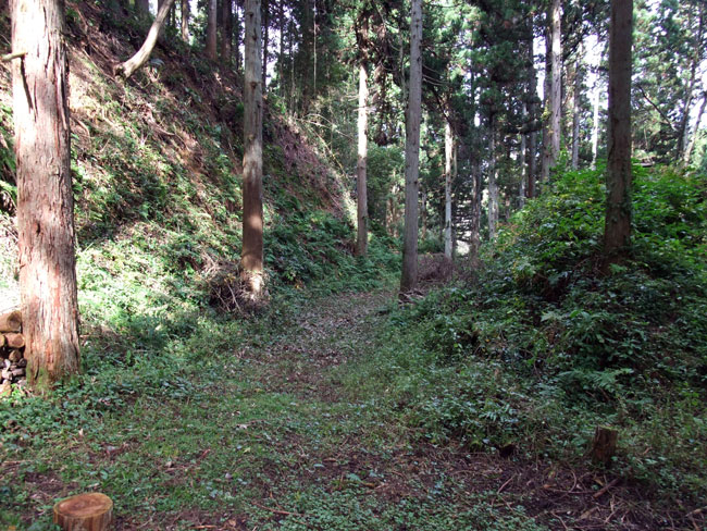 安室屋敷 櫓台安室屋敷東側の切岸