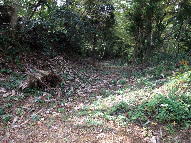 御所山屋敷 横堀