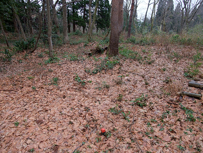 増山城　池ノ平等屋敷跡