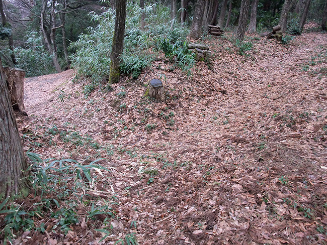 池ノ平等屋敷 虎口