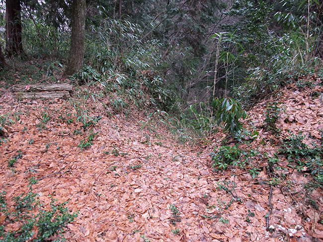 池ノ平等屋敷 虎口