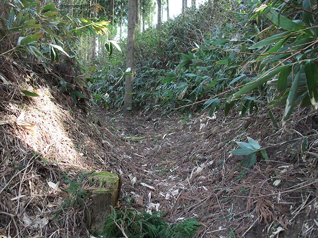 松根城 横堀