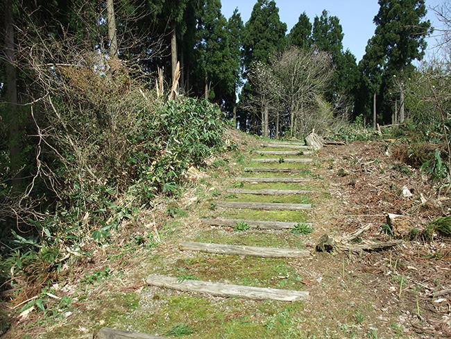 松根城 土橋