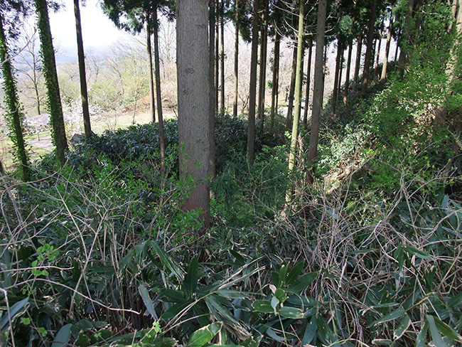 松根城 横堀と馬出