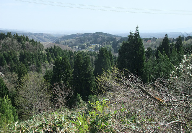 富山方面眺め