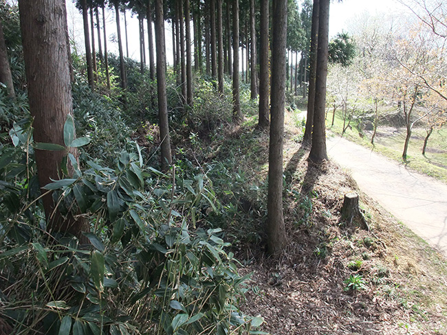 松根城の馬出