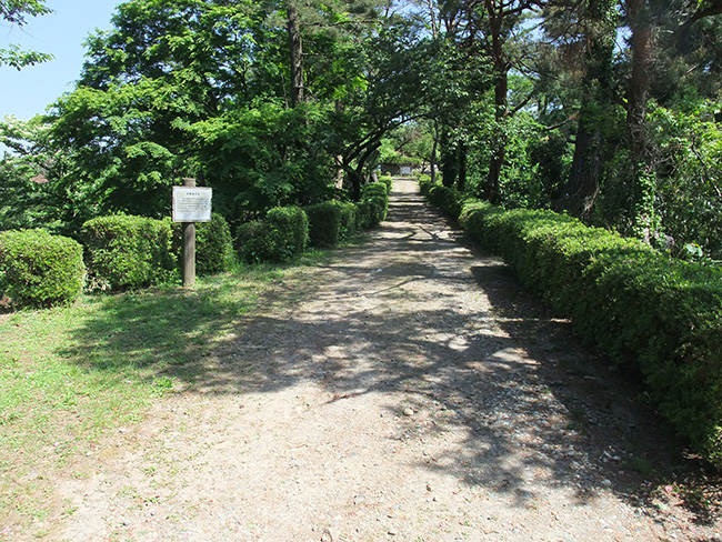 宮崎城 土橋