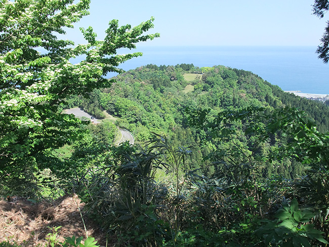 宮崎城 遠望