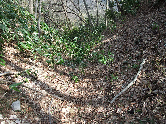 森寺城 堀切