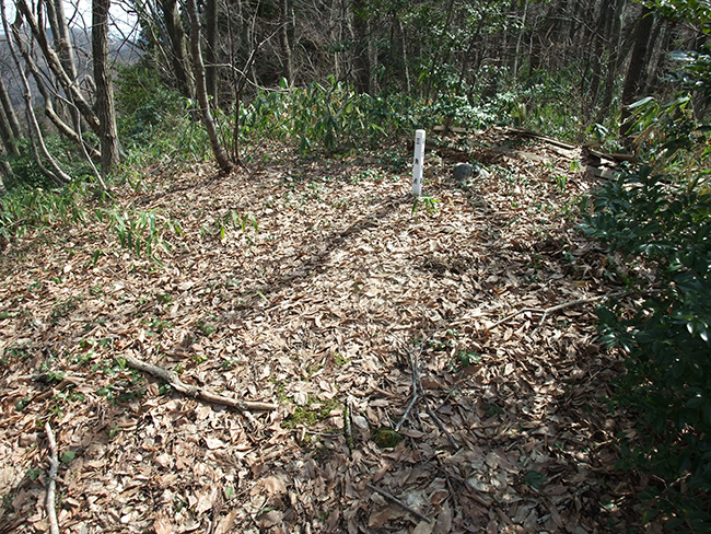 森寺城 三角点