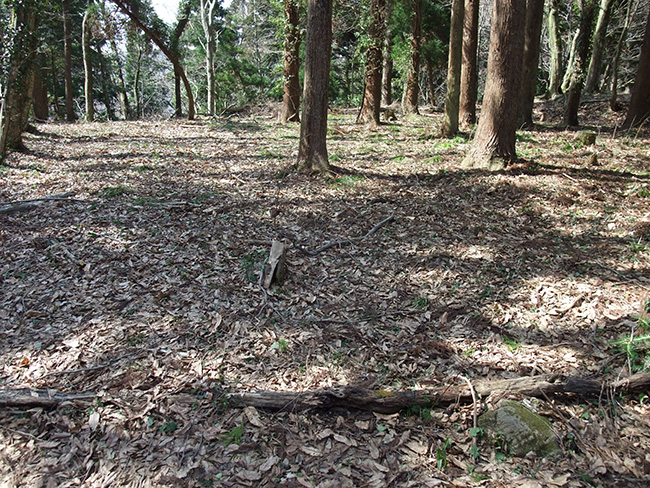 森寺城 堀切