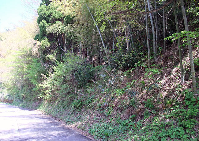 守山城大手道