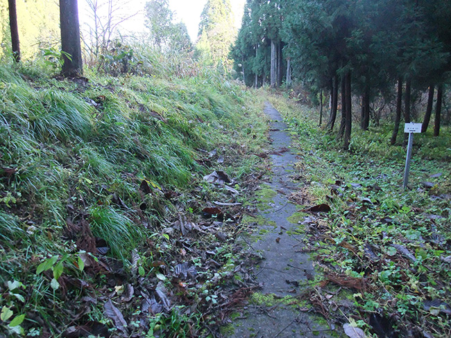 中地山城 登城道