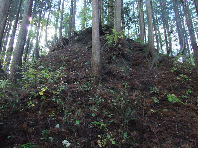 中地山城 主郭