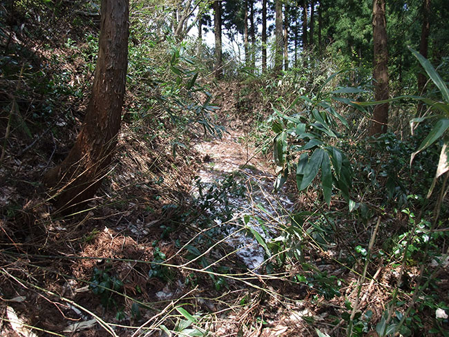 大道城 横堀