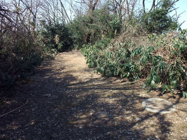 白鳥城 北の丸