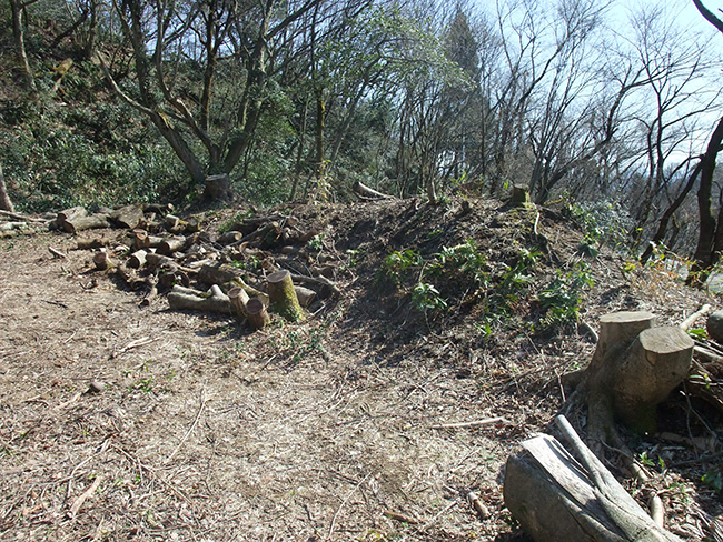 白鳥城 土塁