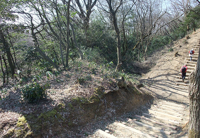 白鳥城 横堀