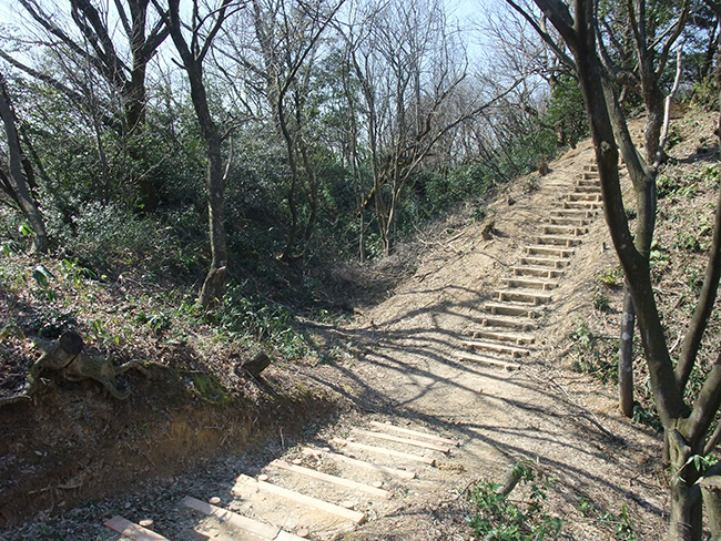 白鳥城 空堀