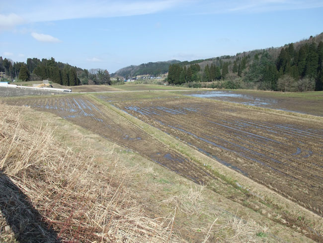 町