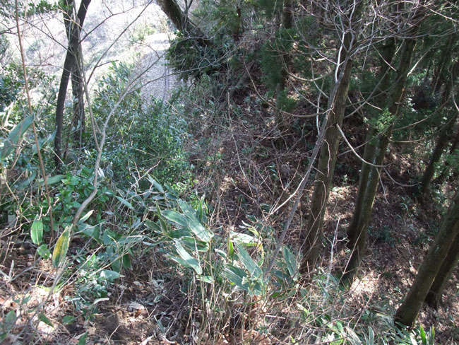 高山城 南の堀切（土橋）