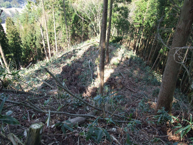 高山城　北側の堀切