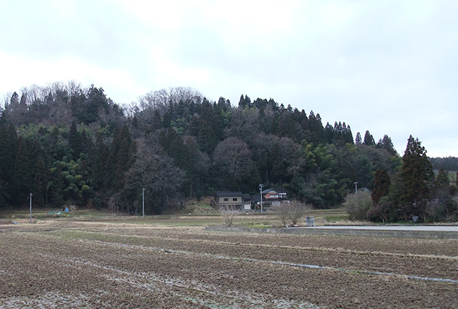 八代城遠景