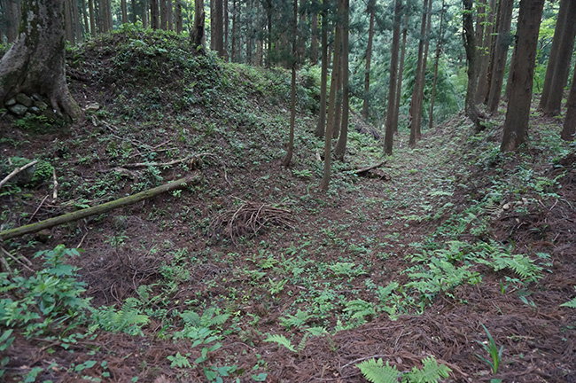 舟岡山城横堀