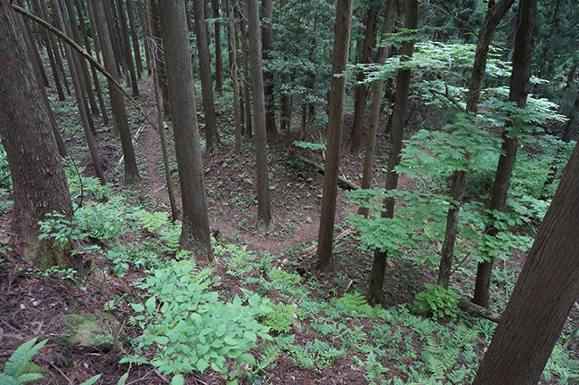 櫓台から見下ろす