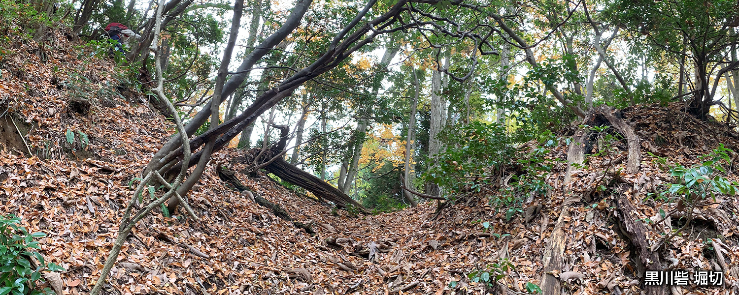 黒川砦 堀切（富山県上市町）