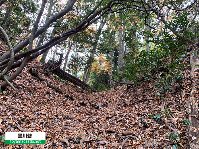 黒川砦の大堀切