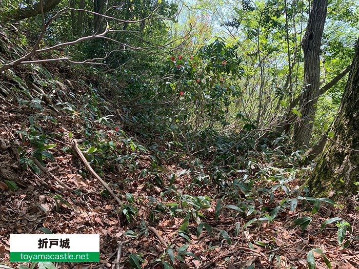 折戸城の横堀