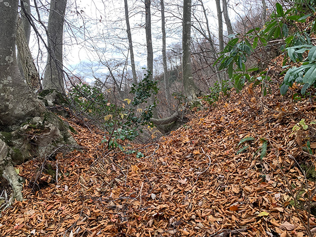 千石山城の二重堀切一つ目