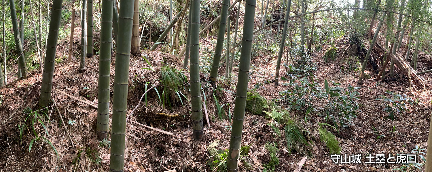 守山城の土塁と虎口