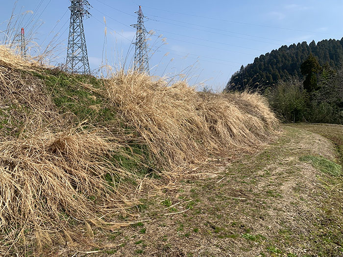 背後に増山城